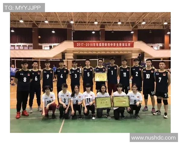 西安排球队战术解析与总决赛表现评析