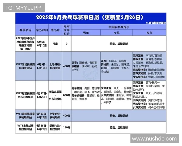 北京乒乓球队的节奏与风格分析探讨乒乓球运动的未来发展方向