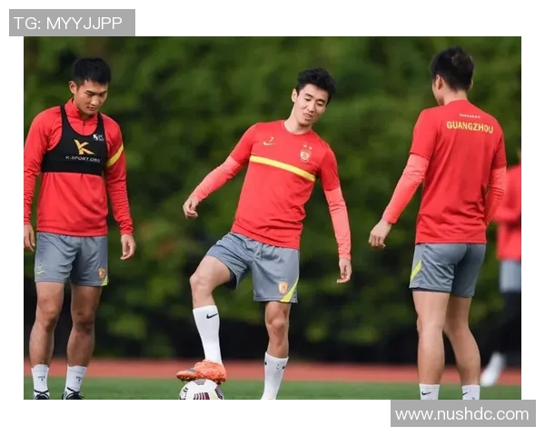 上海羽毛球队个人能力引发热议球员表现与团队协作的深度探讨