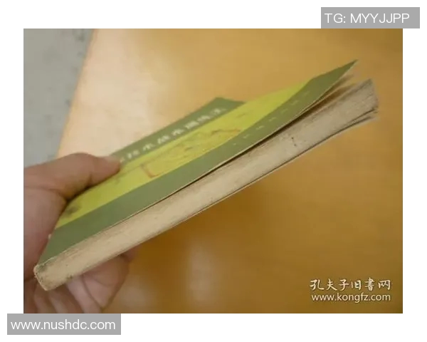 南京排球队整体压制体系解析与战术应用研究 南京排球队整体压制体系解析与战术应用研究