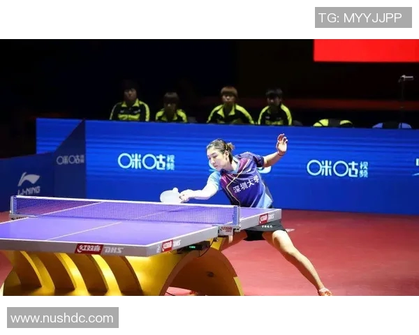 广州排球队整体压制打法深度解析与战术优势剖析