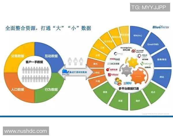 成都乒乓球队技术表现的全面数据分析与发展趋势探讨