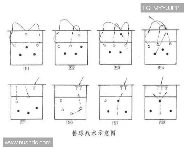 杭州排球队战术解析：从技术到团队协作的全面探讨