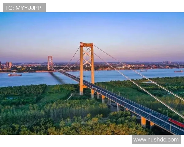 南京网球队状态对比深度解析近期表现与未来潜力的全面评估