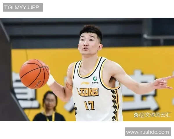 武汉篮球队实力对比深度解析球队优势与挑战全景剖析