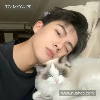 皮蝶研