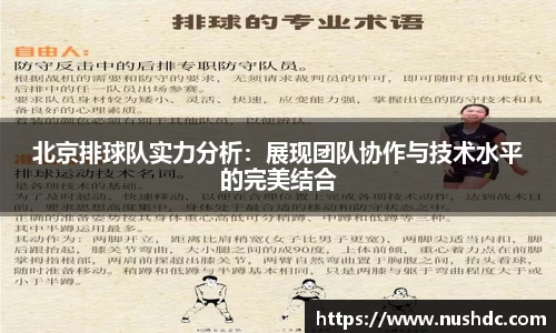 北京排球队实力分析:展现团队协作与技术水平的完美结合