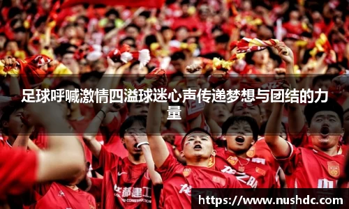 足球呼喊激情四溢球迷心声传递梦想与团结的力量