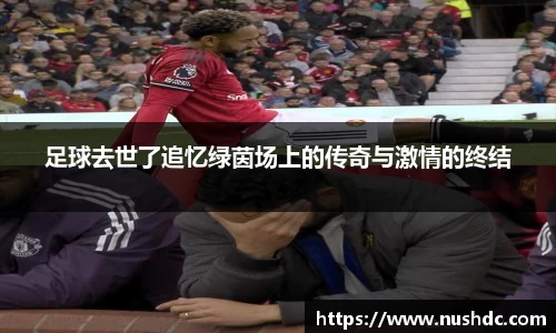 足球去世了追忆绿茵场上的传奇与激情的终结